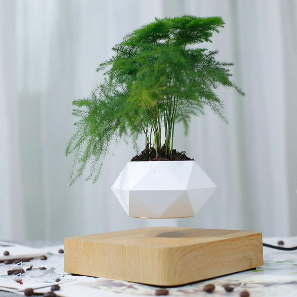 PlantMagic Levitation Air Bonsai Tree Pot: Magnetic, Floating