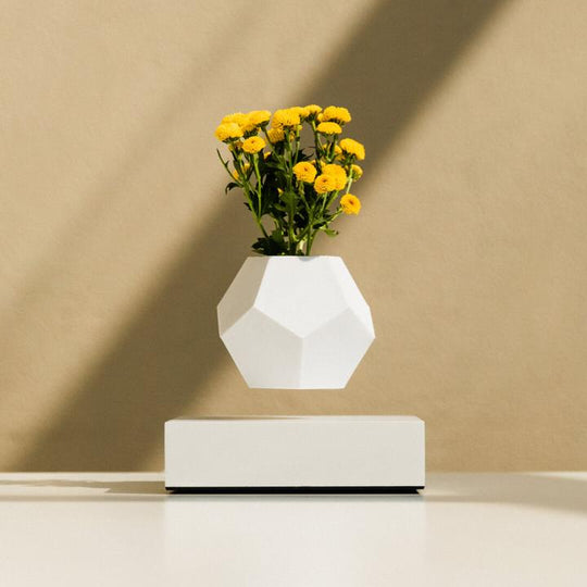 Indoor Levitating Air Bonsai Plant Pot